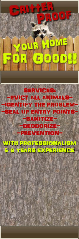 animal removal
